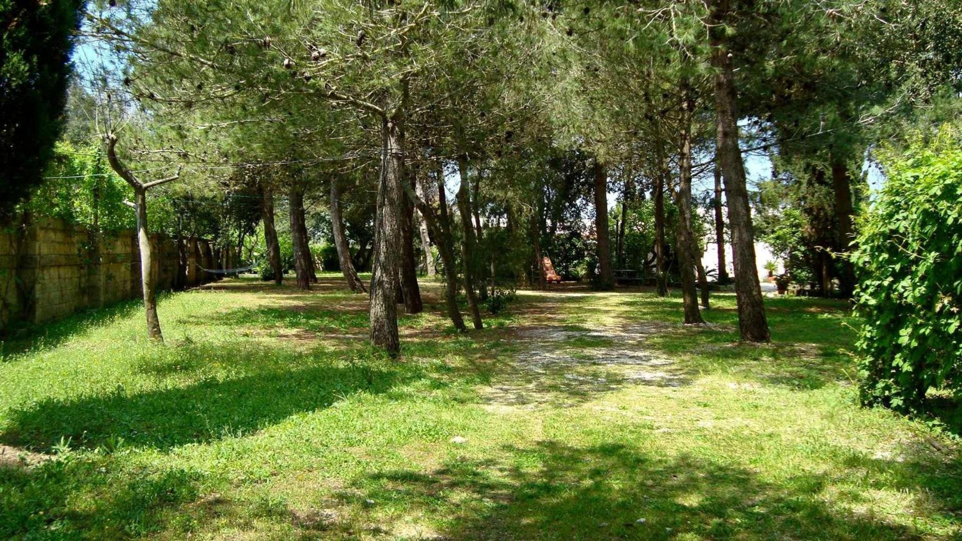 Agriturismo Vignavecchia Vignacastrisi Esterno foto