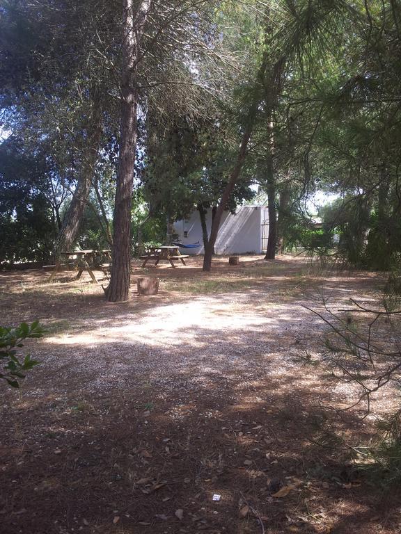 Agriturismo Vignavecchia Vignacastrisi Esterno foto
